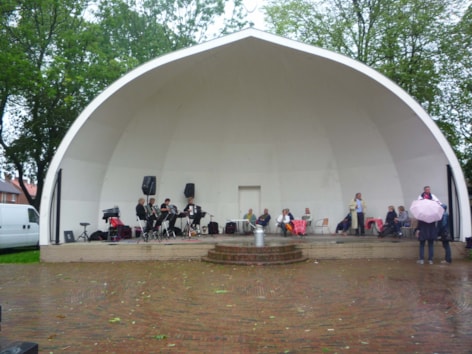 The accordeon ladies van meneer musique 